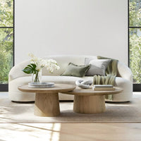 Twin wooden coffee table 2-piece set