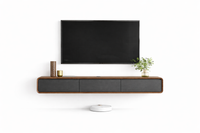 CURVES TV UNIT