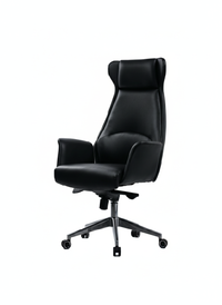 Office chair - OC 002