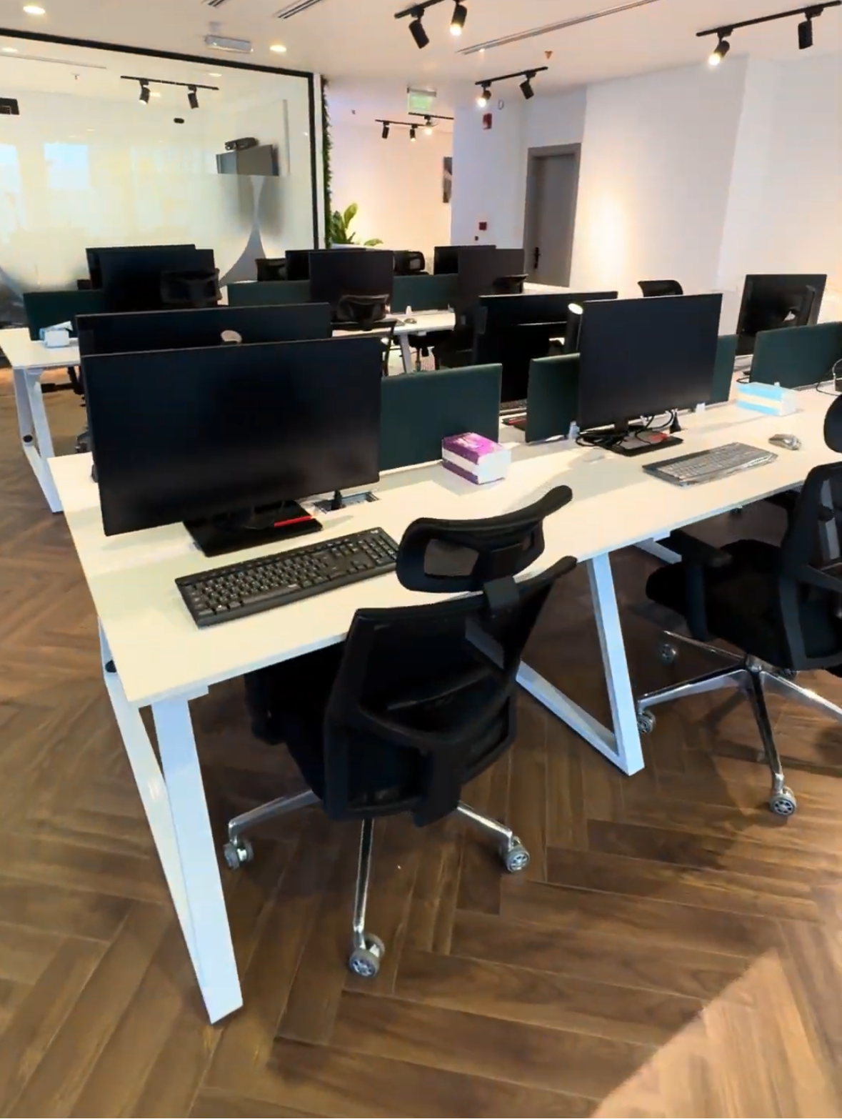 Office Workstation - Workstation WS 01