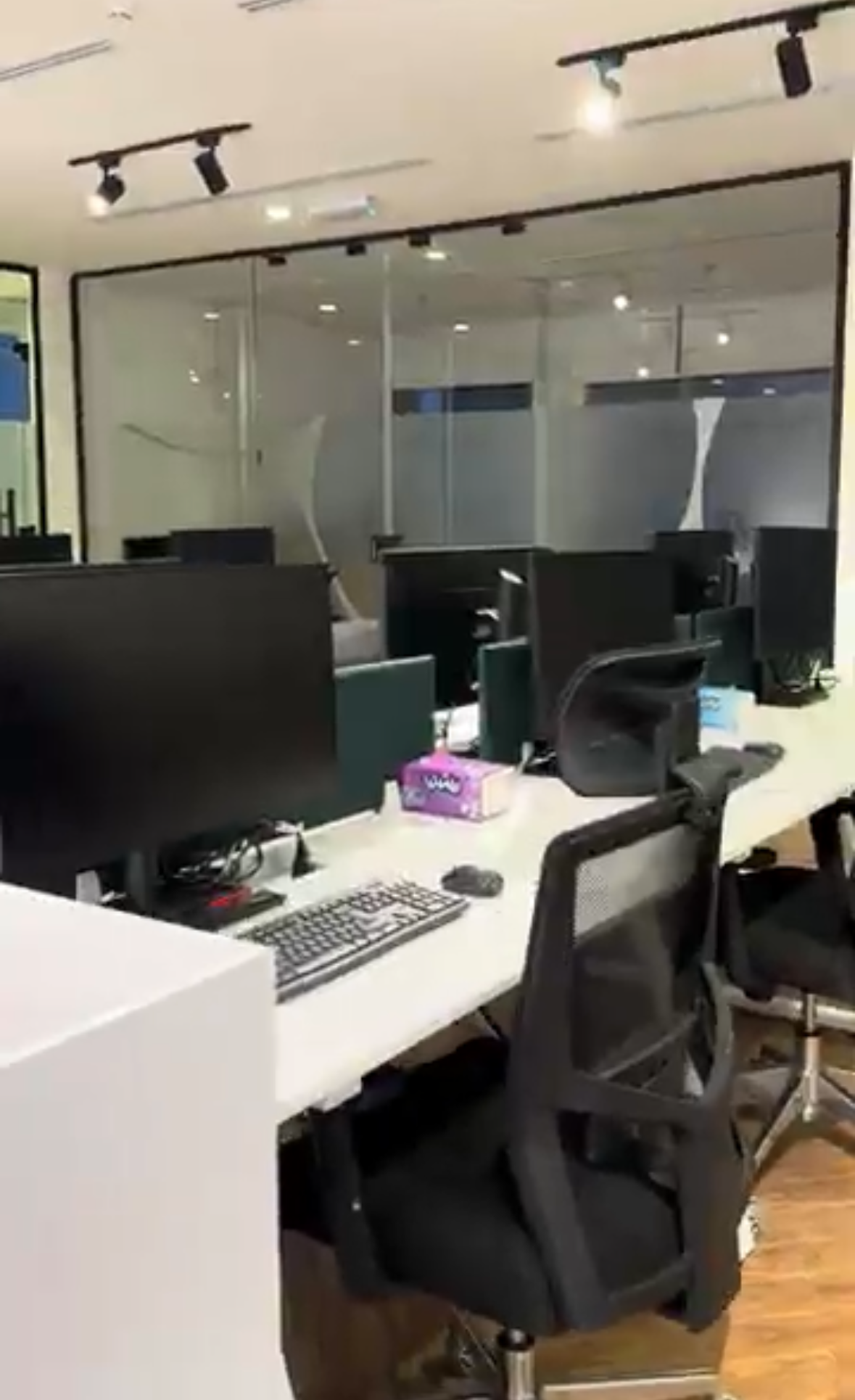 Office Workstation - Workstation WS 01